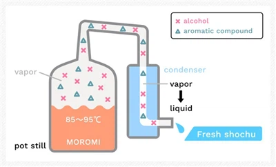 Як форма дистилятора впливає на смак віскі